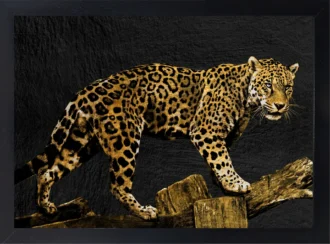 Golden Leopard in Black Background Canvas Wall Art